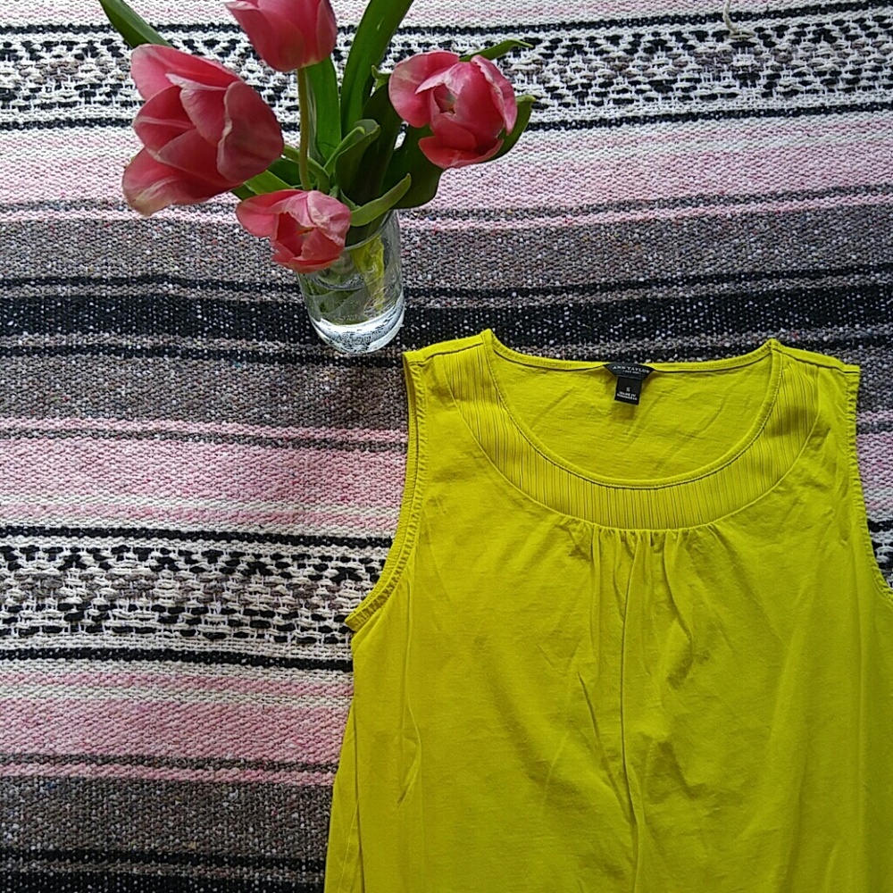 NWOT! Ann Taylor top